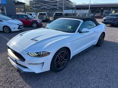 Ford Mustang Mustang Cabrio 2.3 *Autom.*Kamera*Euro6* (2020) - Photo 15