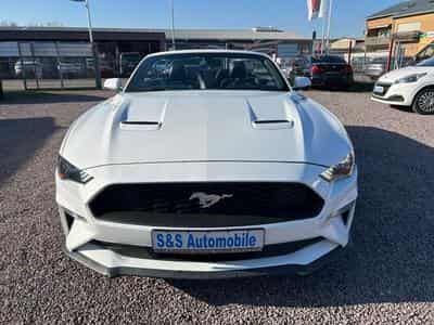 Ford Mustang Mustang Cabrio 2.3 *Autom.*Kamera*Euro6* (2020) - Photo 2