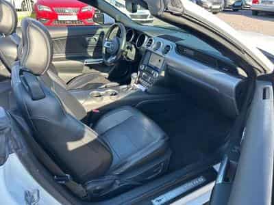 Ford Mustang Mustang Cabrio 2.3 *Autom.*Kamera*Euro6* (2020) - Photo 9