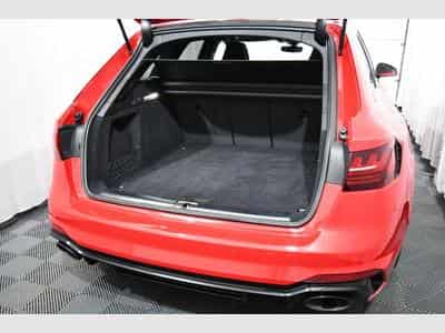 Audi RS4 RS 4 Avant 2.9 TFSI Leder W., V/max, Pano., B&amp;O (2022) - Foto 4