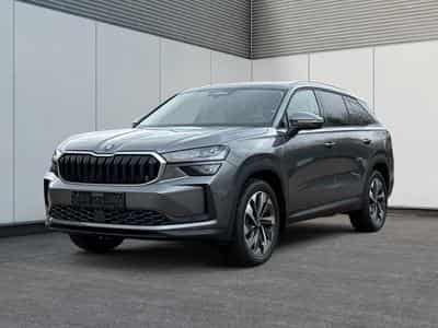 Skoda Kodiaq Selection Business Edition (2026) - Foto 1