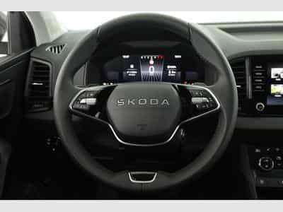 Skoda Karoq Selection (2025) - Foto 5