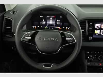 Skoda Karoq Selection (2026) - Foto 5