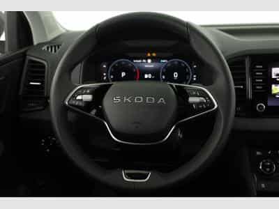 Skoda Karoq Selection (2026) - Photo 5