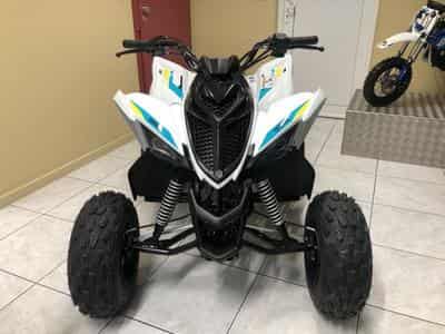 Yamaha YFM 90 (2026) - Photo 2