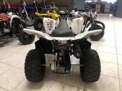 Yamaha YFM 90 (2026) - Photo 3