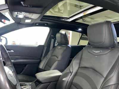 Cadillac XT4 350T AWD Sport Auto. (2026) - Photo 13