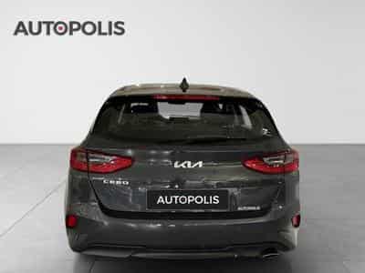 Kia Ceed Pulse 1.0 T-GDI 120 MHEV DCT ISG (2026) - Photo 15