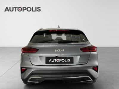 Kia Ceed Pulse 1.0 T-GDI 120 MHEV DCT ISG (2026) - Photo 15