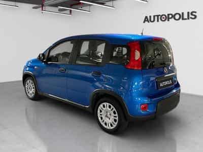 Fiat Panda 1.0 Hybrid 70 MT6 (2026) - Photo 13
