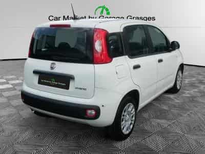 Fiat Panda ICON HYBRID 1.0 GSE (2026) - Photo 3