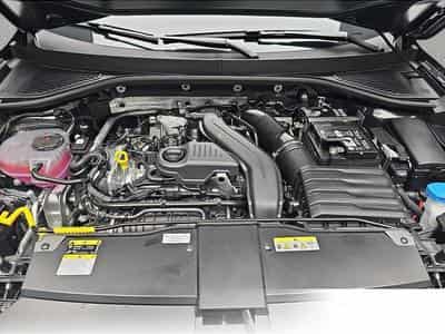 VW T-Roc (2026) - Photo 14