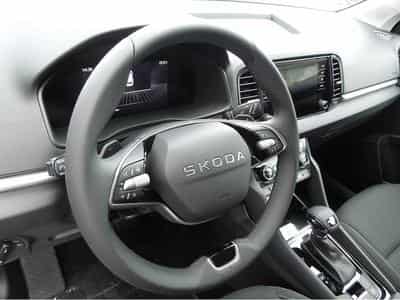 Skoda Karoq (2026) - Foto 6