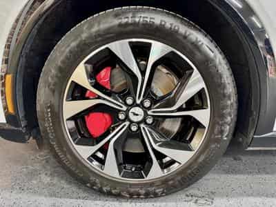 Ford Mustang Mach-E Mustang Mach-E 99Kw/h RWD RANGE PREMIUM (2024) - Photo 3