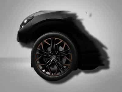 Cupra Terramar VZ 2.0 TSI 7-Gang-DSG 4Drive (2026) - Photo 4