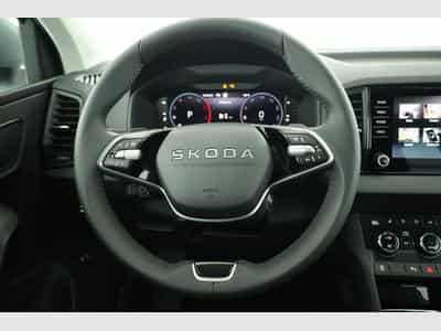 Skoda Karoq Selection (2026) - Foto 5