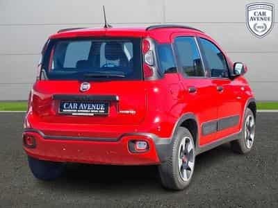 Fiat Panda RED 4Q (2022) - Foto 2