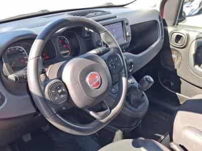 Fiat Panda RED 4Q (2022) - Foto 7