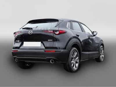 Mazda CX-30 (2026) - Photo 2
