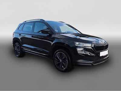 Skoda Karoq (2024) - Photo 3