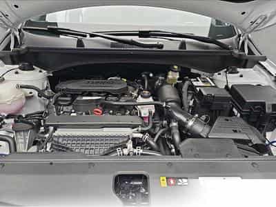 Kia Sportage (2026) - Foto 14