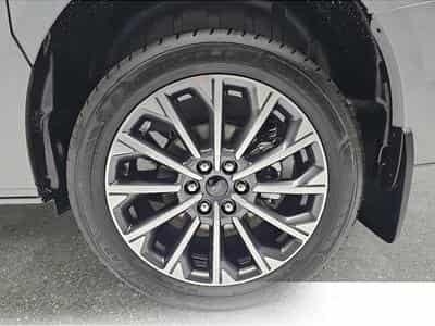 Ford Tourneo (2026) - Photo 5