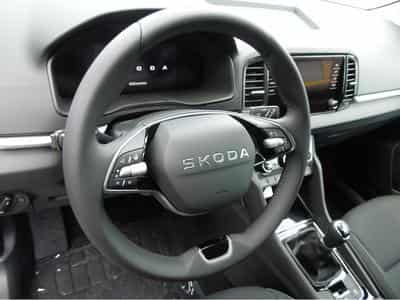 Skoda Karoq (2026) - Photo 6