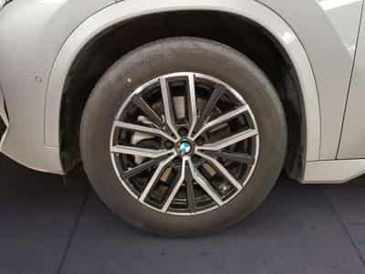 BMW X1 xDrive23d Head-Up HK HiFi DAB (2025) - Foto 6