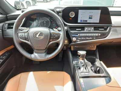 Lexus ES F SPORT Design (2023) - Photo 10