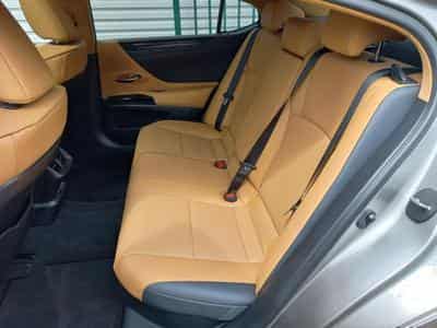 Lexus ES F SPORT Design (2023) - Photo 9