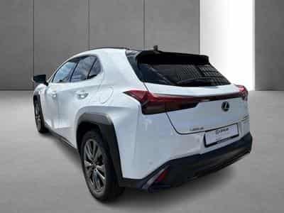 Lexus UX F SPORT Design (2023) - Photo 8