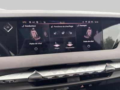 DS Automobiles DS4 Rivoli E-Tense 225 (2021) - Photo 14