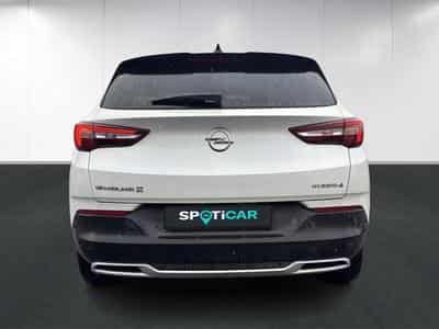 Opel Grandland X Innovation (2020) - Photo 5