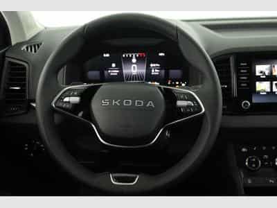 Skoda Karoq Selection 4x4 (2026) - Photo 5