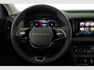 Skoda Karoq Selection (2026) - Photo 5