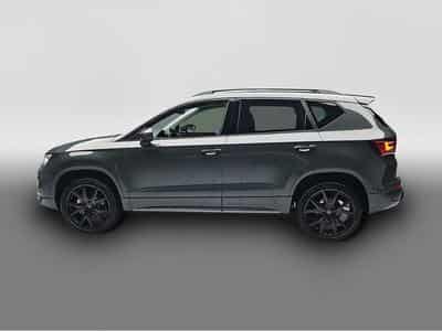 Cupra Ateca (2026) - Photo 4