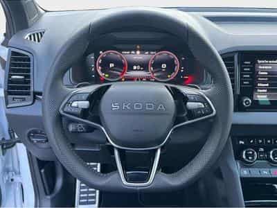 Skoda Karoq (2026) - Photo 11