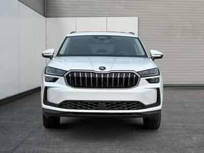 Skoda Kodiaq Selection Business Edition (2025) - Photo 6