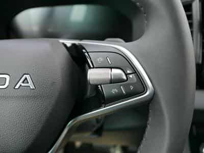 Skoda Karoq 130 Jahre (2026) - Photo 14