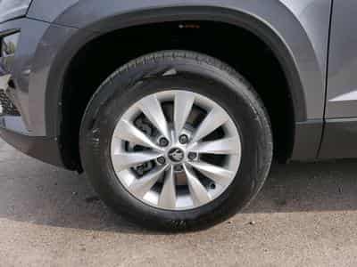 Skoda Karoq 130 Jahre (2026) - Photo 3