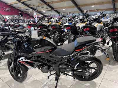 Benelli BN (2026) - Photo 4