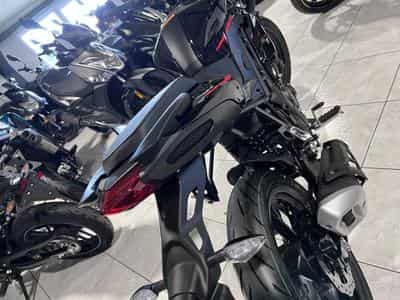 Benelli BN (2026) - Photo 5