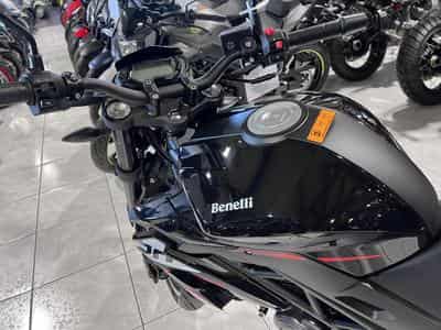 Benelli BN (2026) - Photo 6
