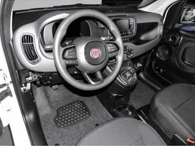 Fiat Panda (2024) - Photo 3