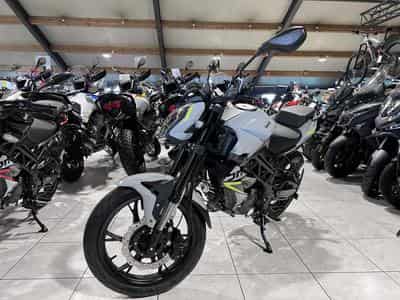 Benelli BN GRIS (2026) - Photo 2