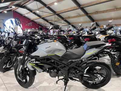 Benelli BN GRIS (2026) - Photo 4