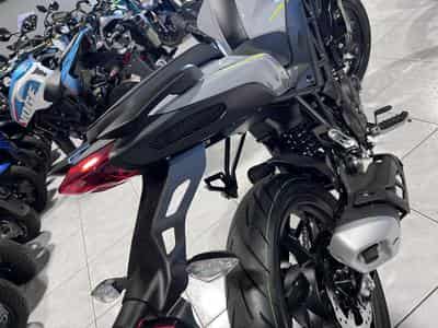 Benelli BN GRIS (2026) - Photo 5