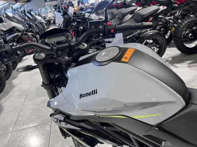 Benelli BN GRIS (2026) - Photo 6
