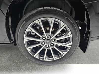 Ford Tourneo (2026) - Photo 5