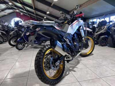 QJmotor SRT 450 RX RX (2026) - Foto 3